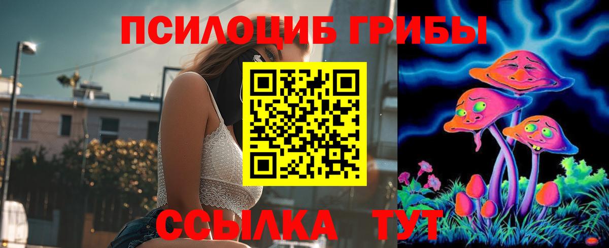Псилоцибиновые грибы MAGIC MUSHROOMS  Псилоцибиновые грибы Cubensis  Вход с VPN  купить   Ангарск 